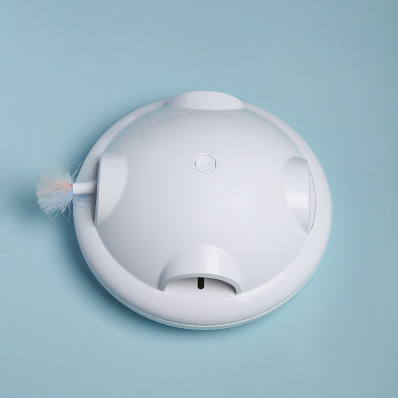 Electric Cat Playmate-0