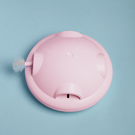 Electric Cat Playmate-1